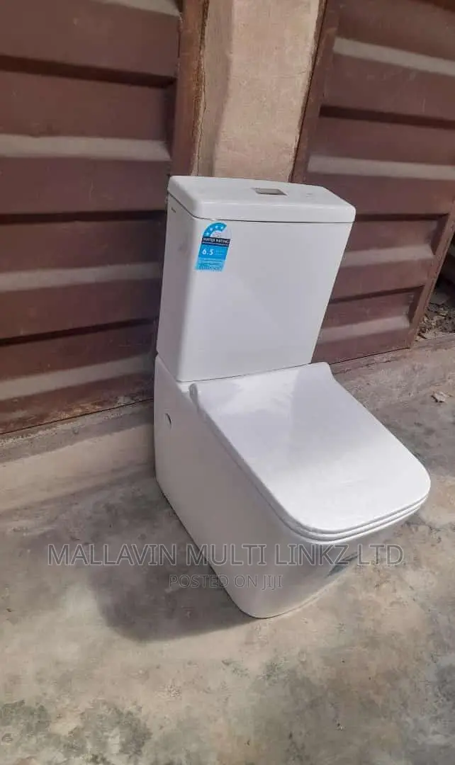 Modern Two Piece Toilet Seats With Basin