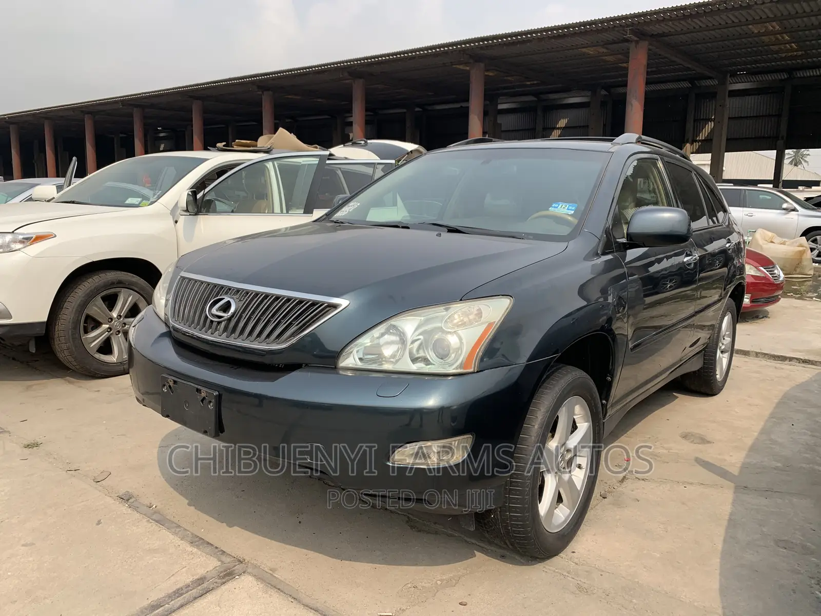 Lexus RX 330 2005 Gray