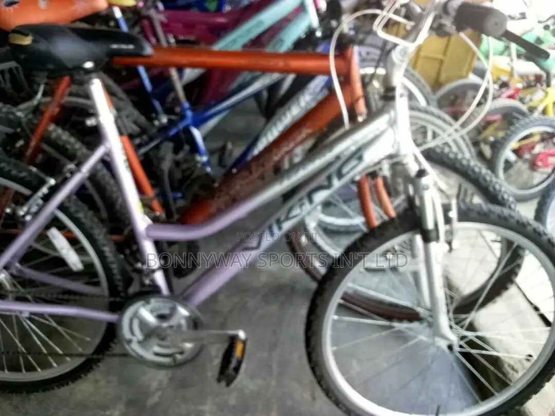 Tokunbo Neat Adult Gear Bike
