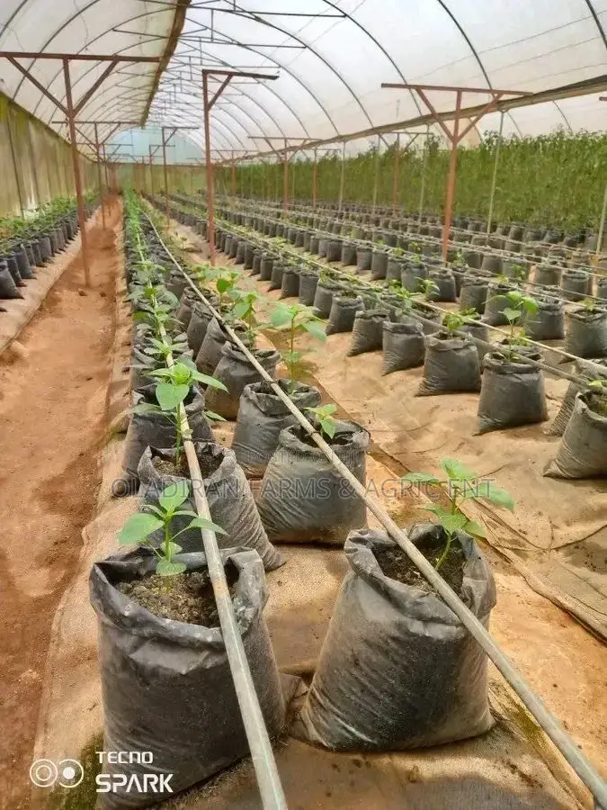 Grow Bags For Greenhouse And Soiless Farming