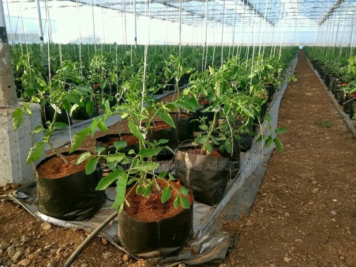 Grow Bags For Greenhouse And Soiless Farming