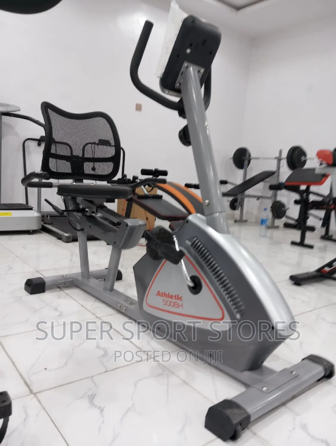 Luxury Recumbent Bike
