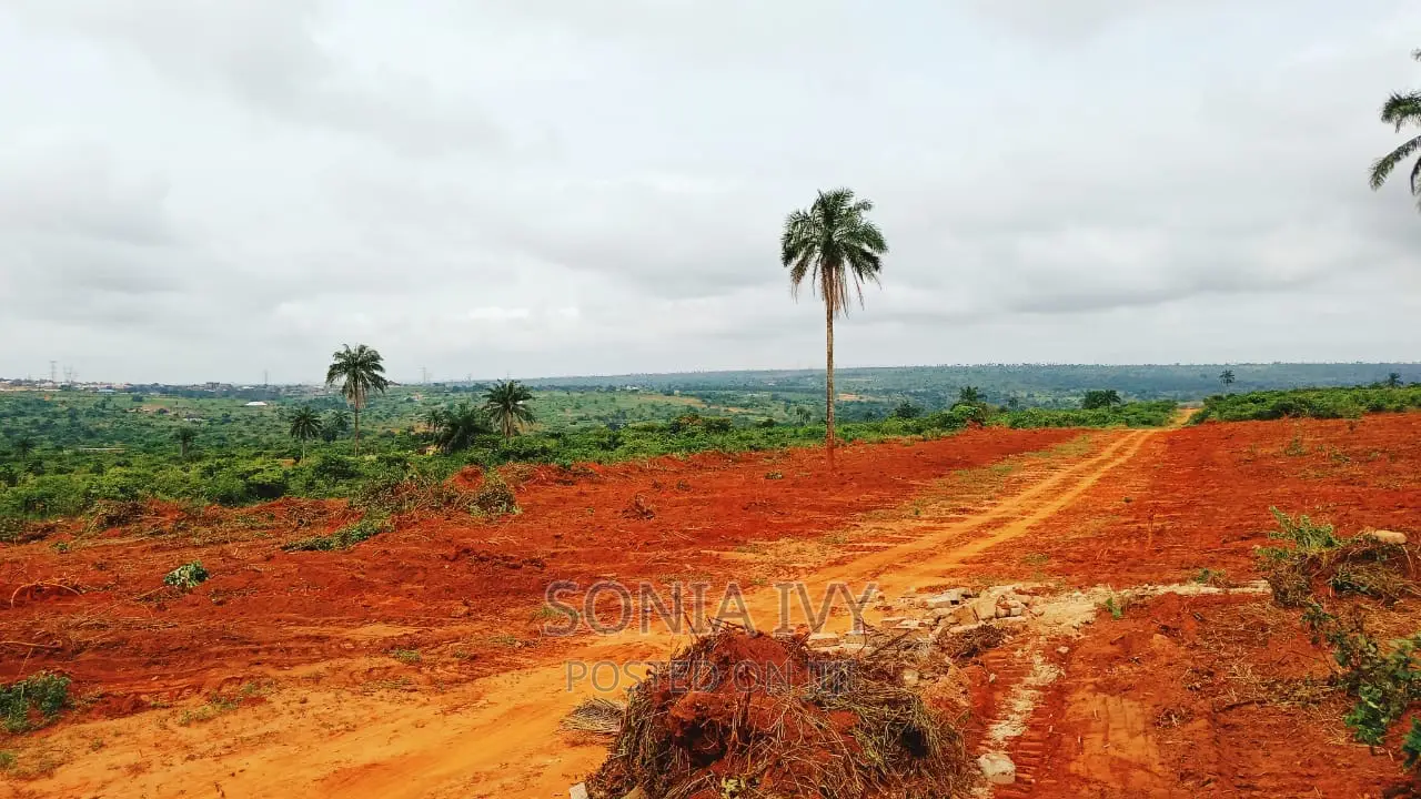 Land at Ibusa