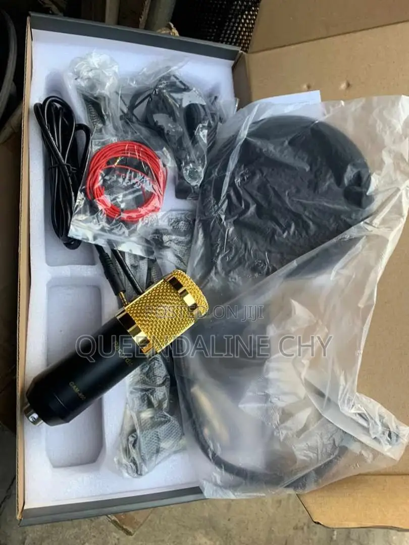 CAM - 800 Condenser Microphone