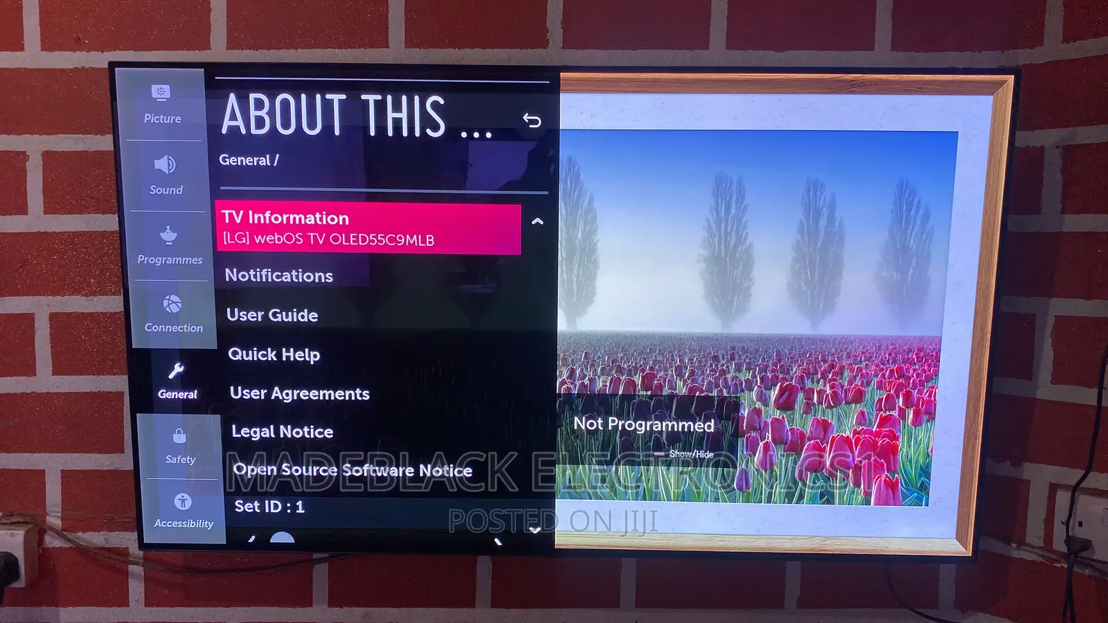 LG OLED 55 Inches 2021 Model