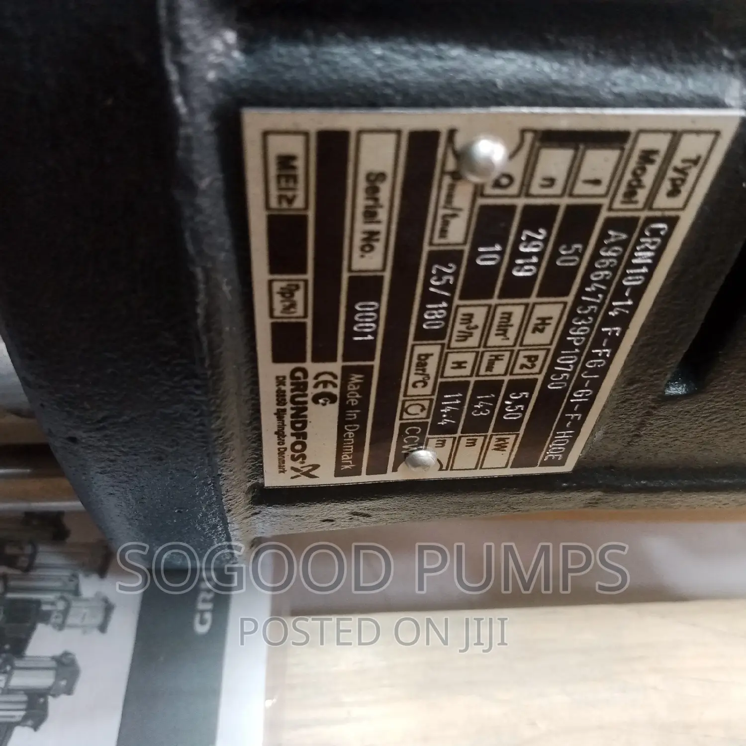 Grundfos Stinless Steel Vertical Pump
