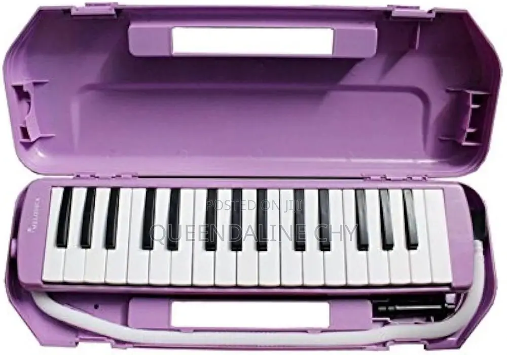 Melodica Hard Case