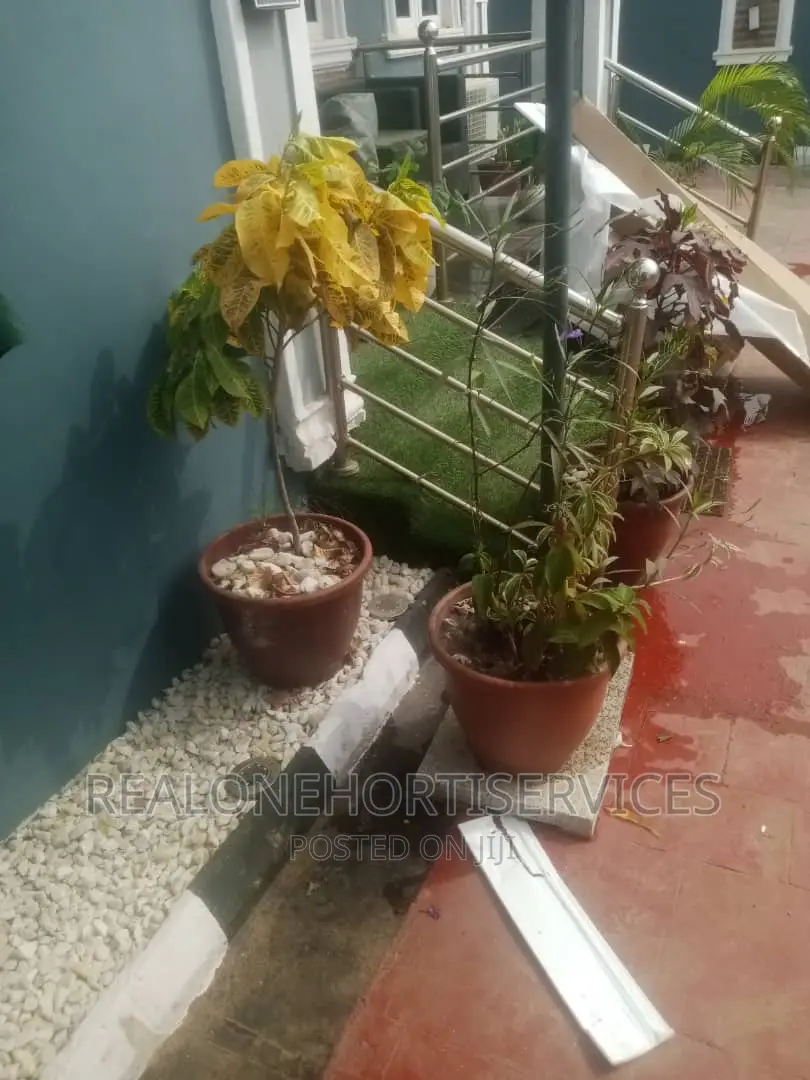 Concrete Potted Flower for Patio, Entrance Walkway, Varandah