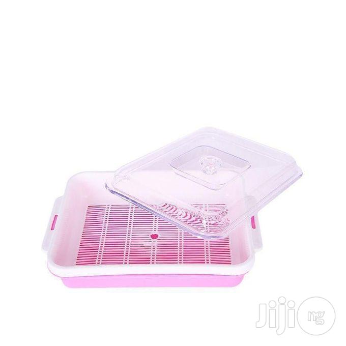 Multi Color Salad Container For Home And For Gift
