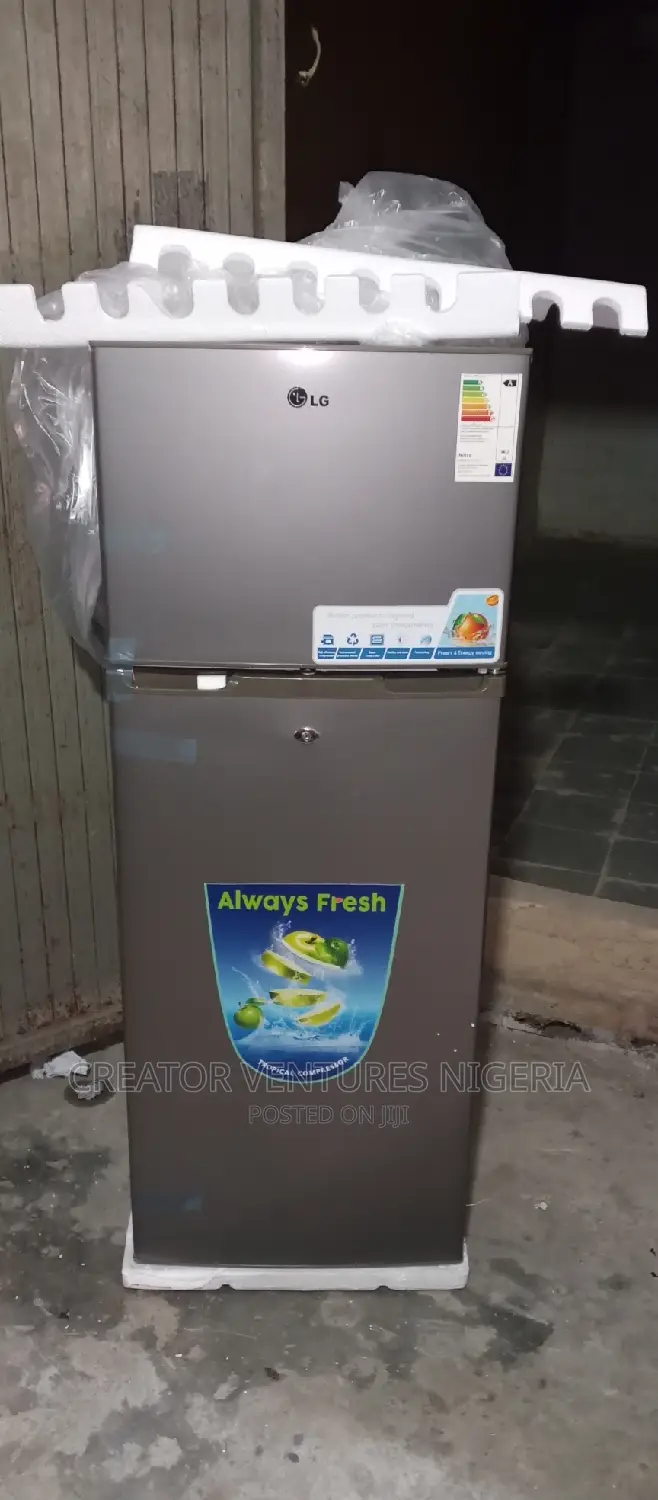 LG Double Door Refrigerator Fast Cooling,Low Voltage,Flower.