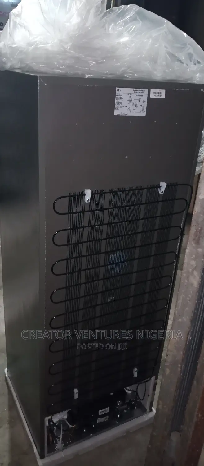 LG Double Door Refrigerator Fast Cooling,Low Voltage,Flower.