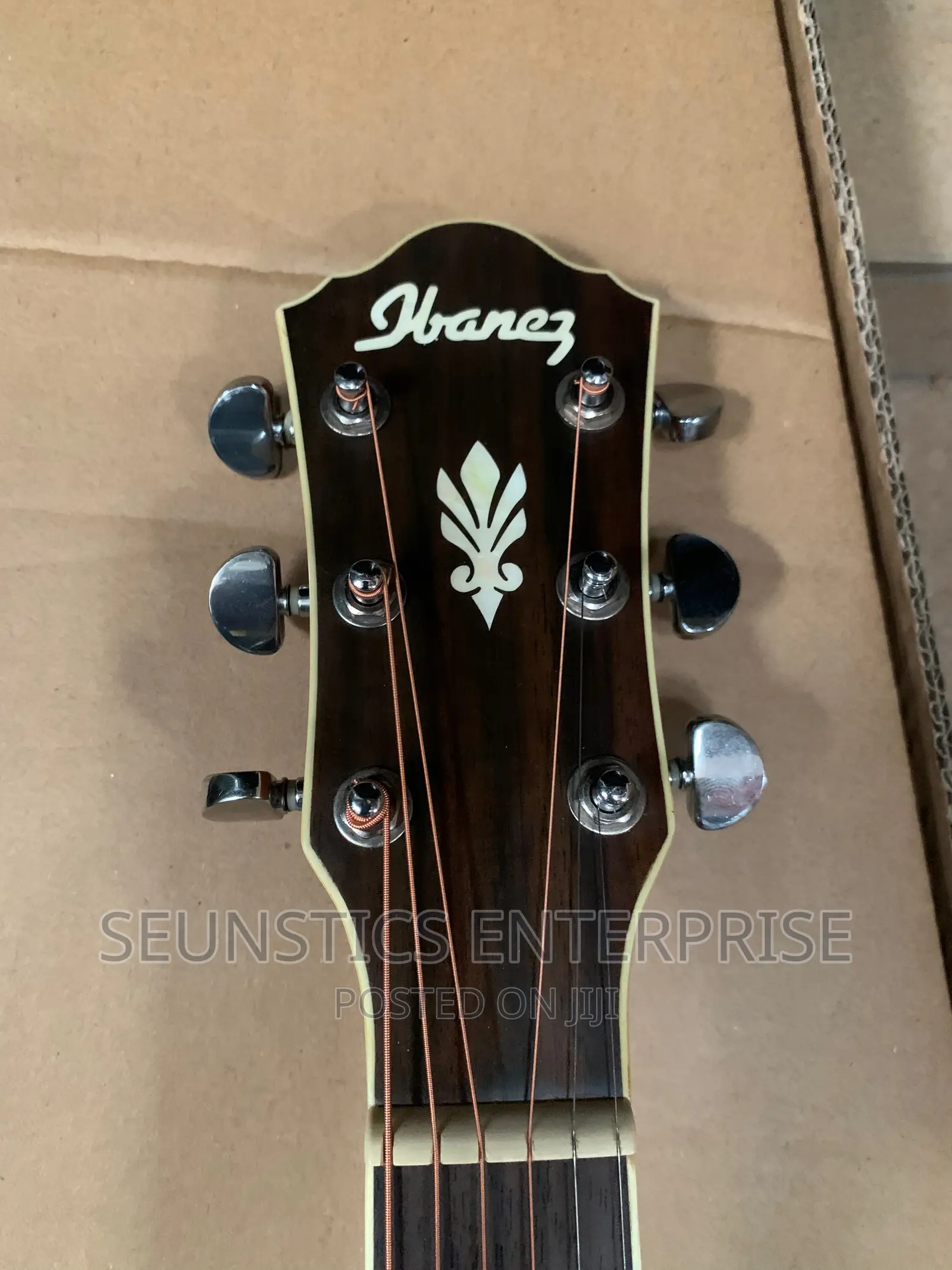 Quality Ibanez Electro Acoustic Guitar With Fishman EQ