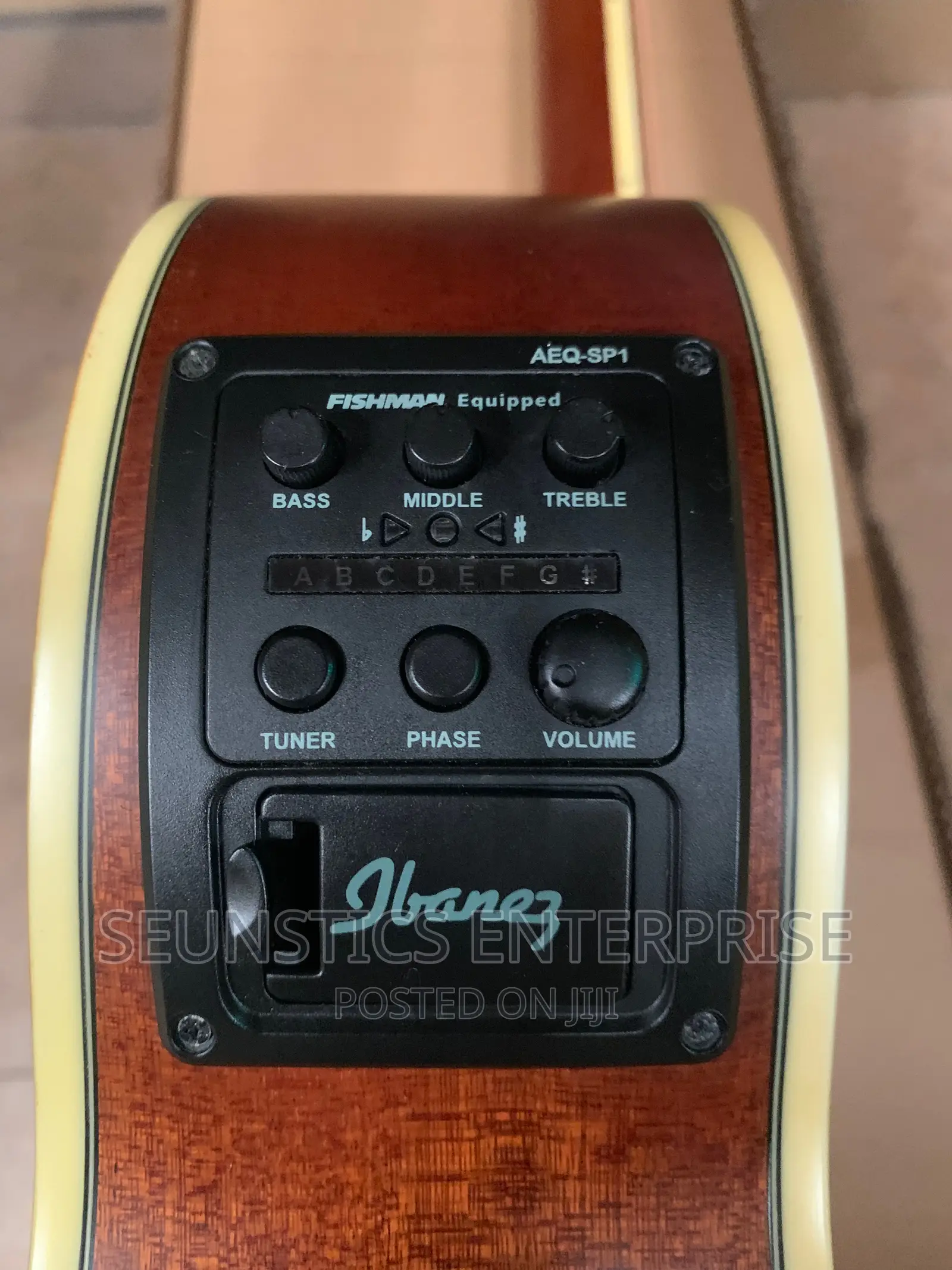Quality Ibanez Electro Acoustic Guitar With Fishman EQ