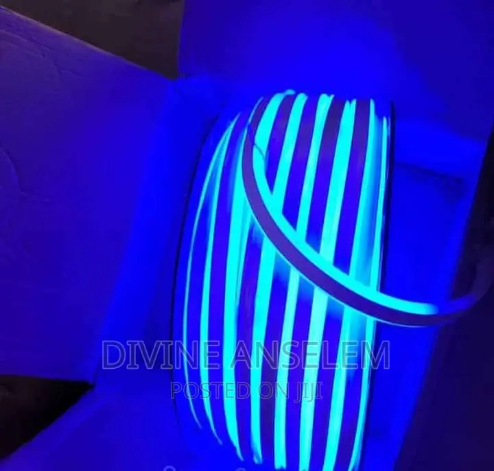 Neon Rope Light