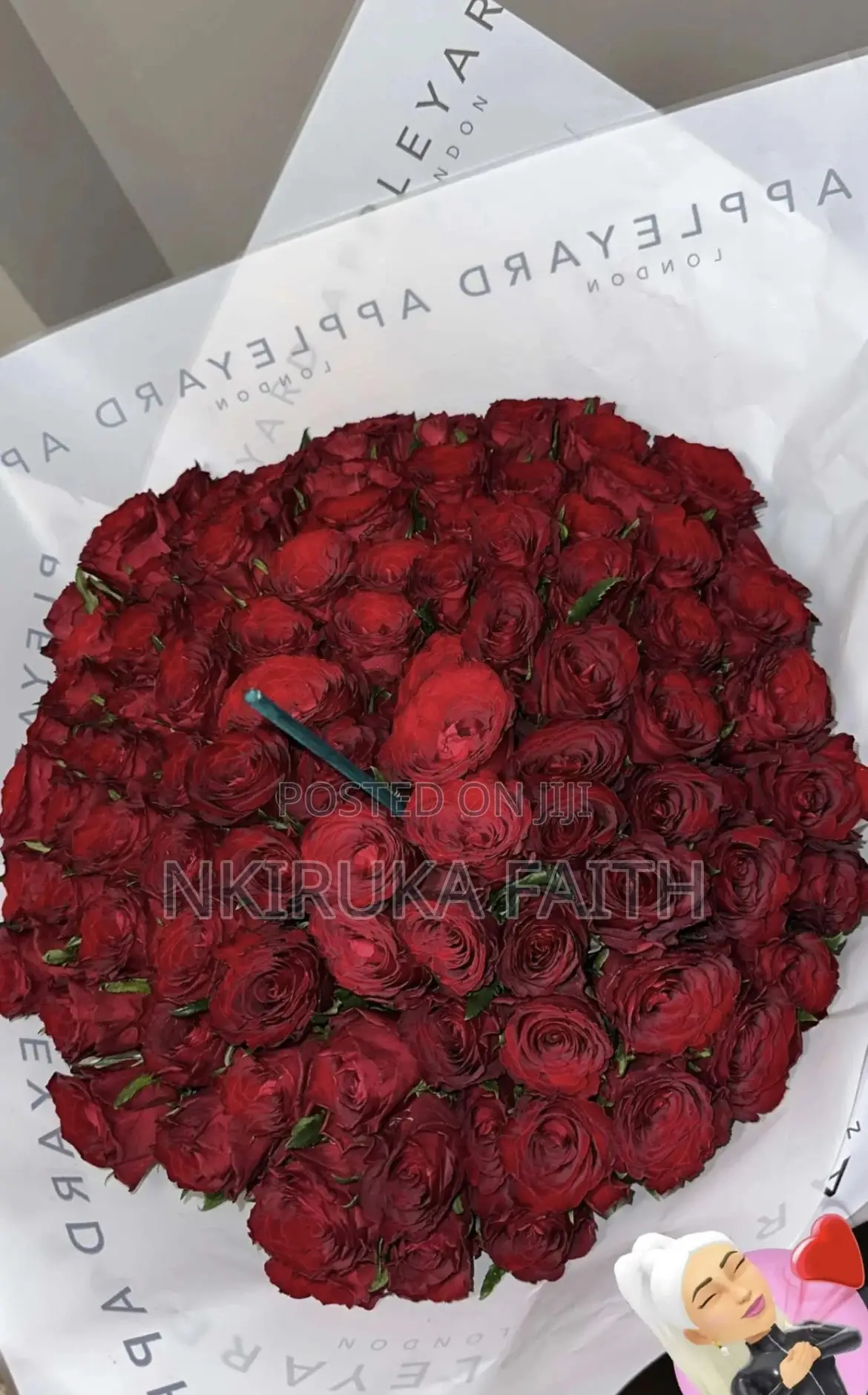 Red Roses Wrapped