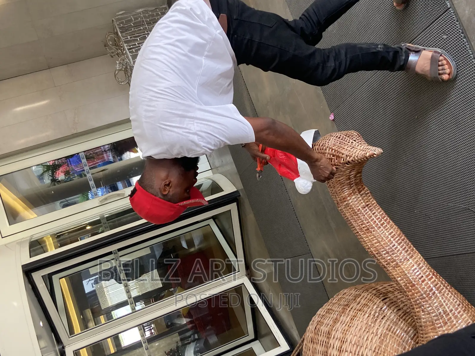 Weaving Ostrich