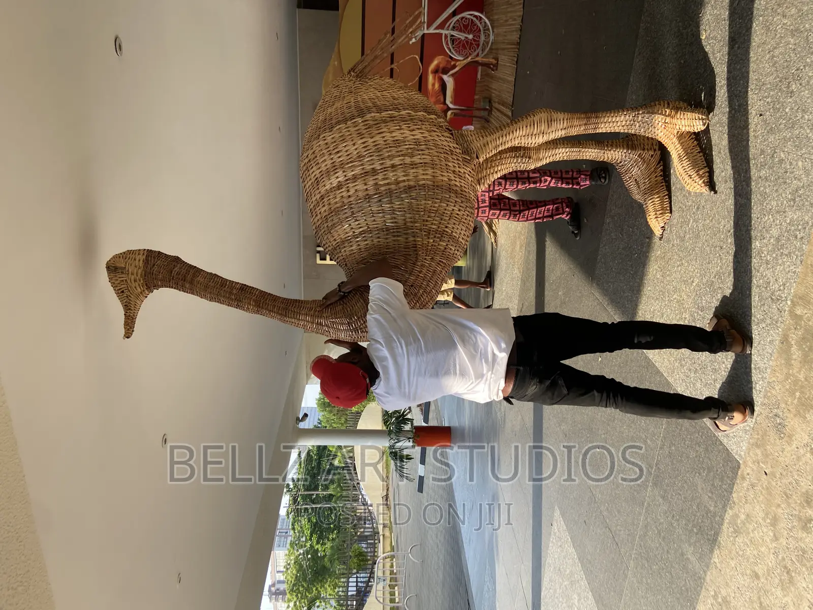 Weaving Ostrich