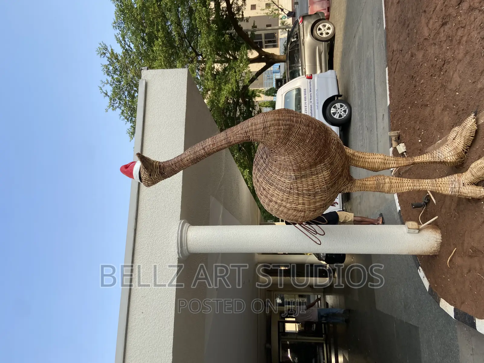 Weaving Ostrich