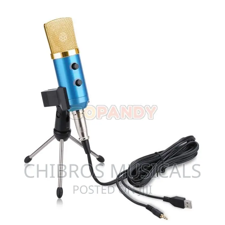 Iconstar Condenser USB Studio Microphone With Tripod Stand