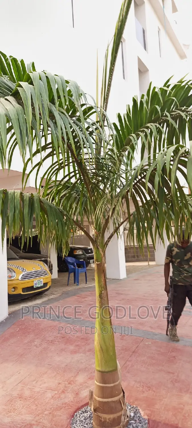 1bdrm Apartment in Dawaki for rent