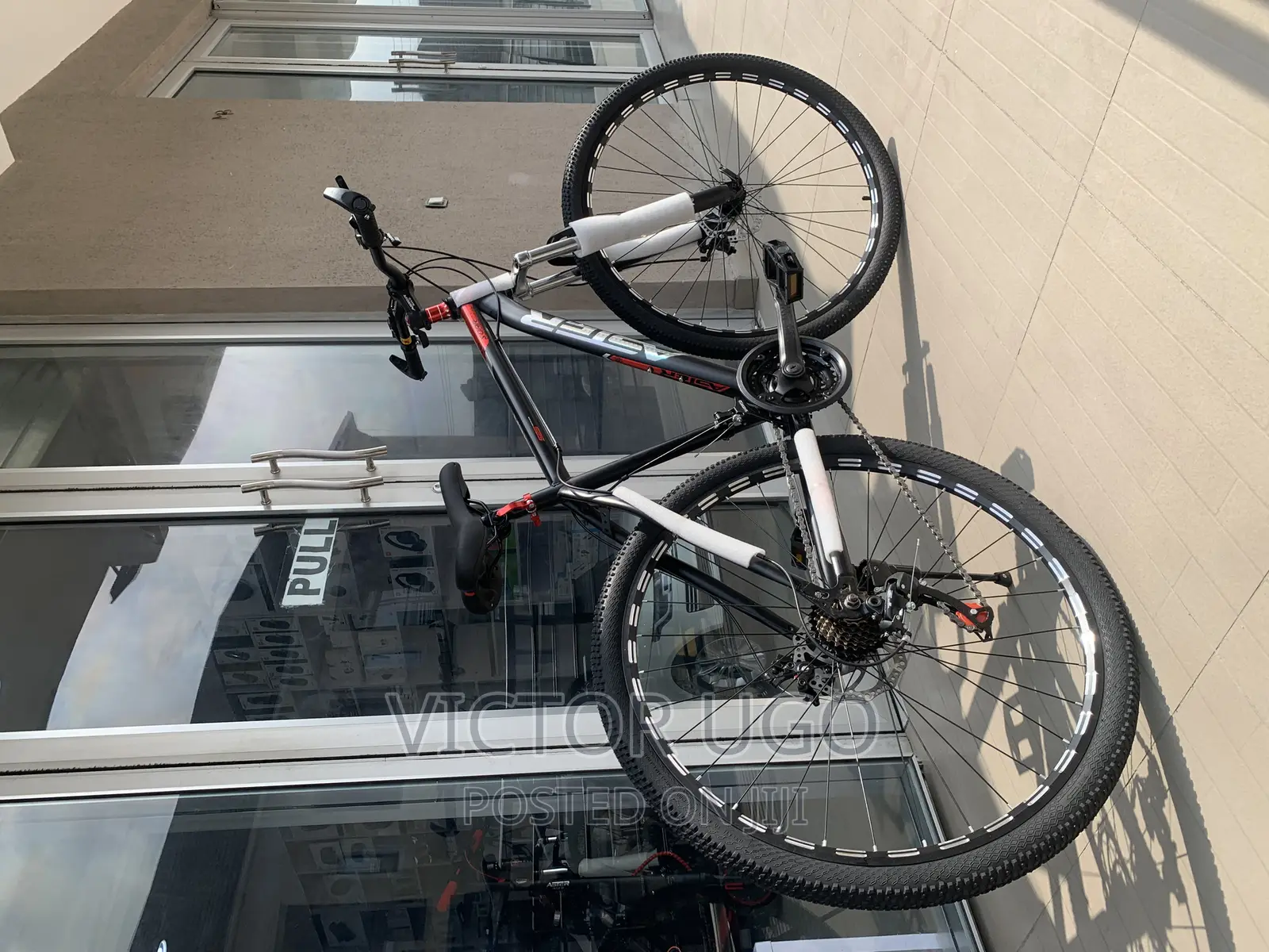 Adult Bicycle
