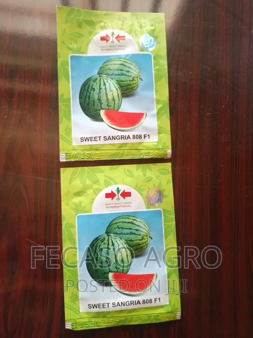 Sweet Sangria 808 F1-10g