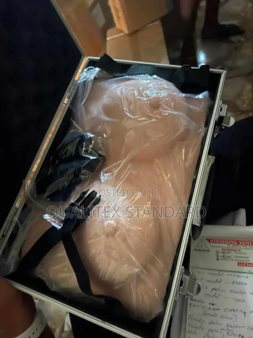 Fake Breast (Artificial Breast )