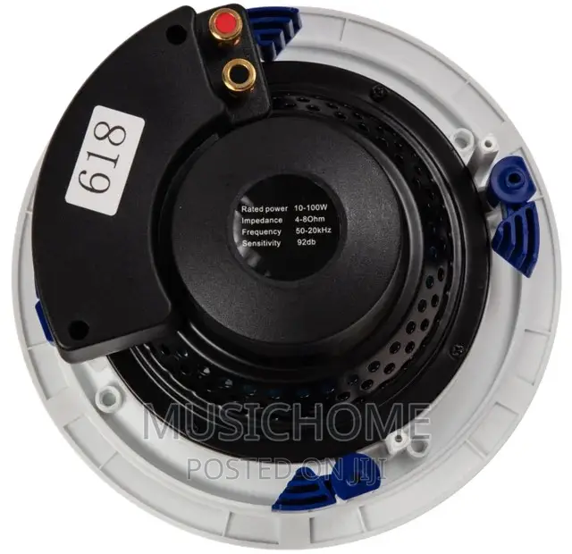 100W Latest Ceiling Speaker