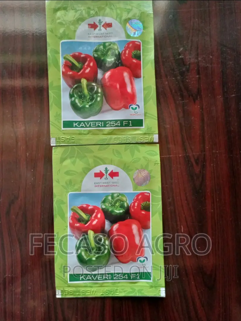 Kaveri F1- 500 Seeds