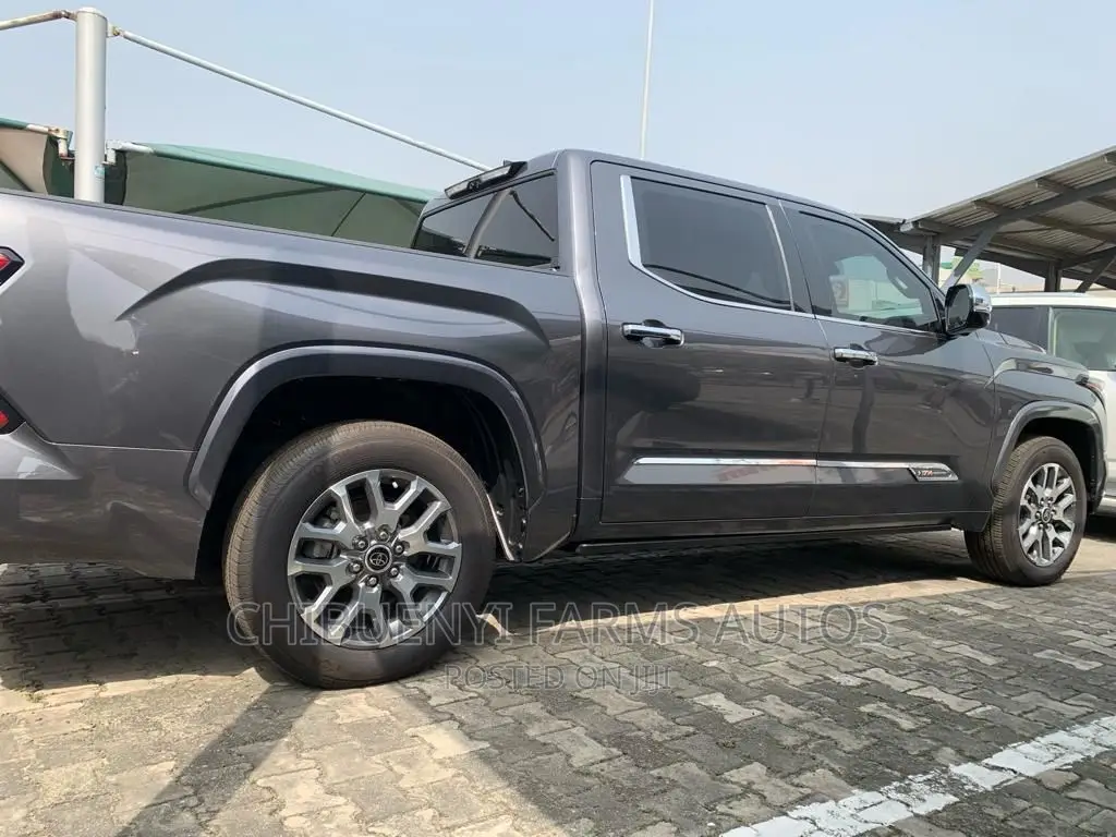 Toyota Tundra 1794 2022 Gray