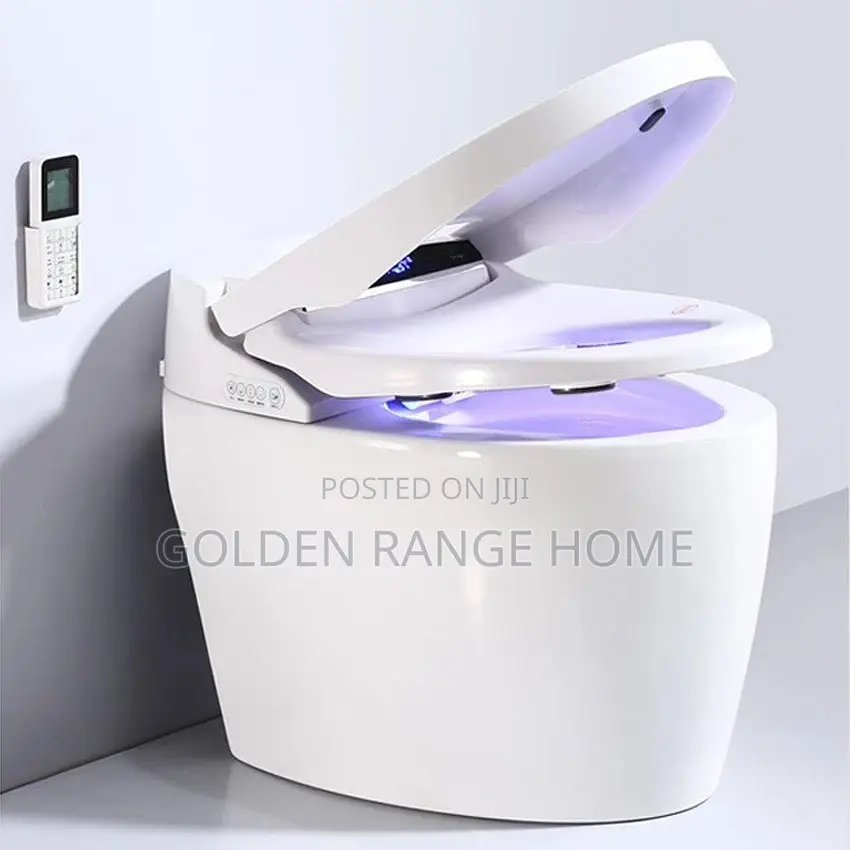 Smart Water Closet With Remote Control
