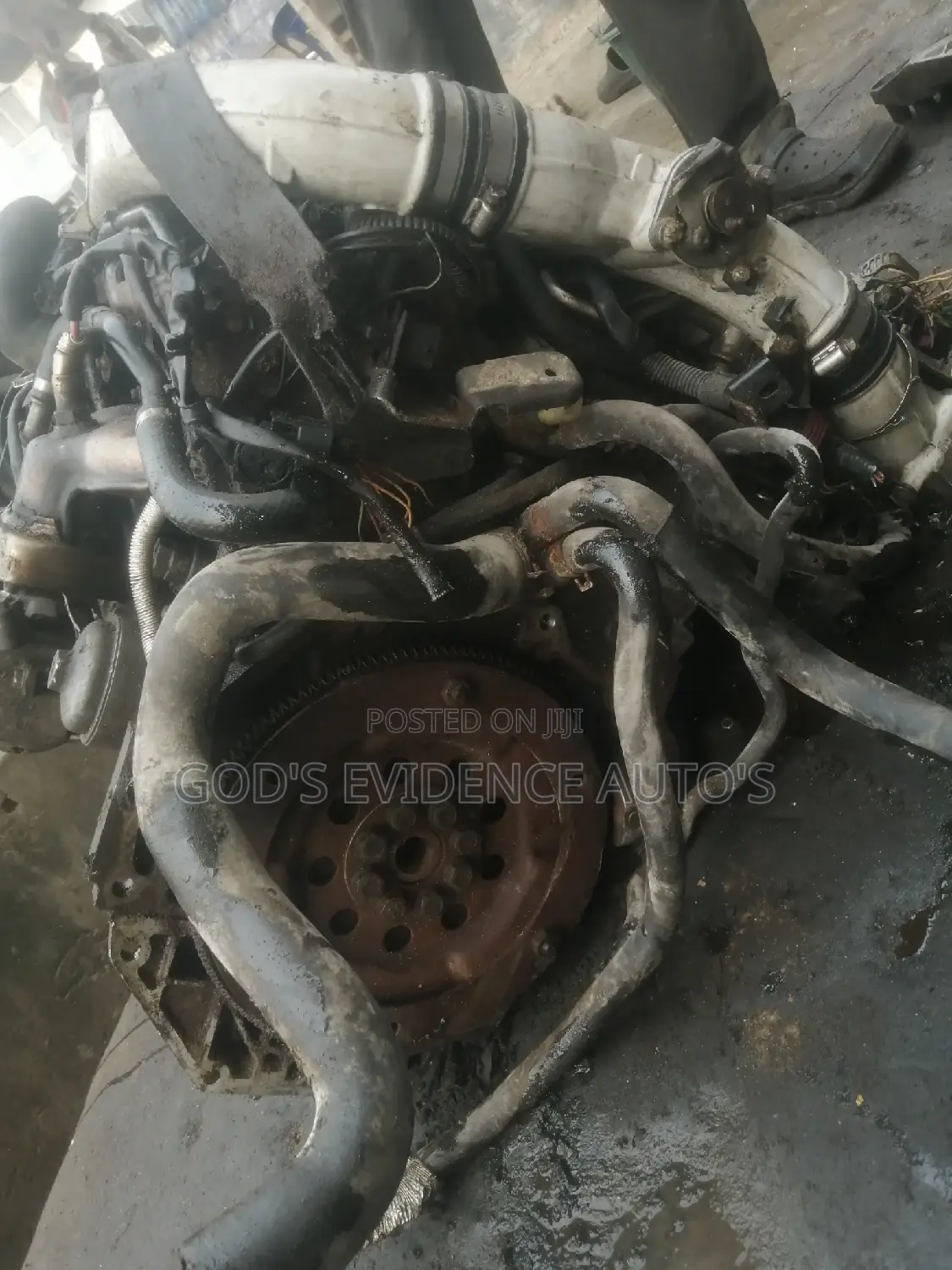 Opel Signum 3.0 Engine