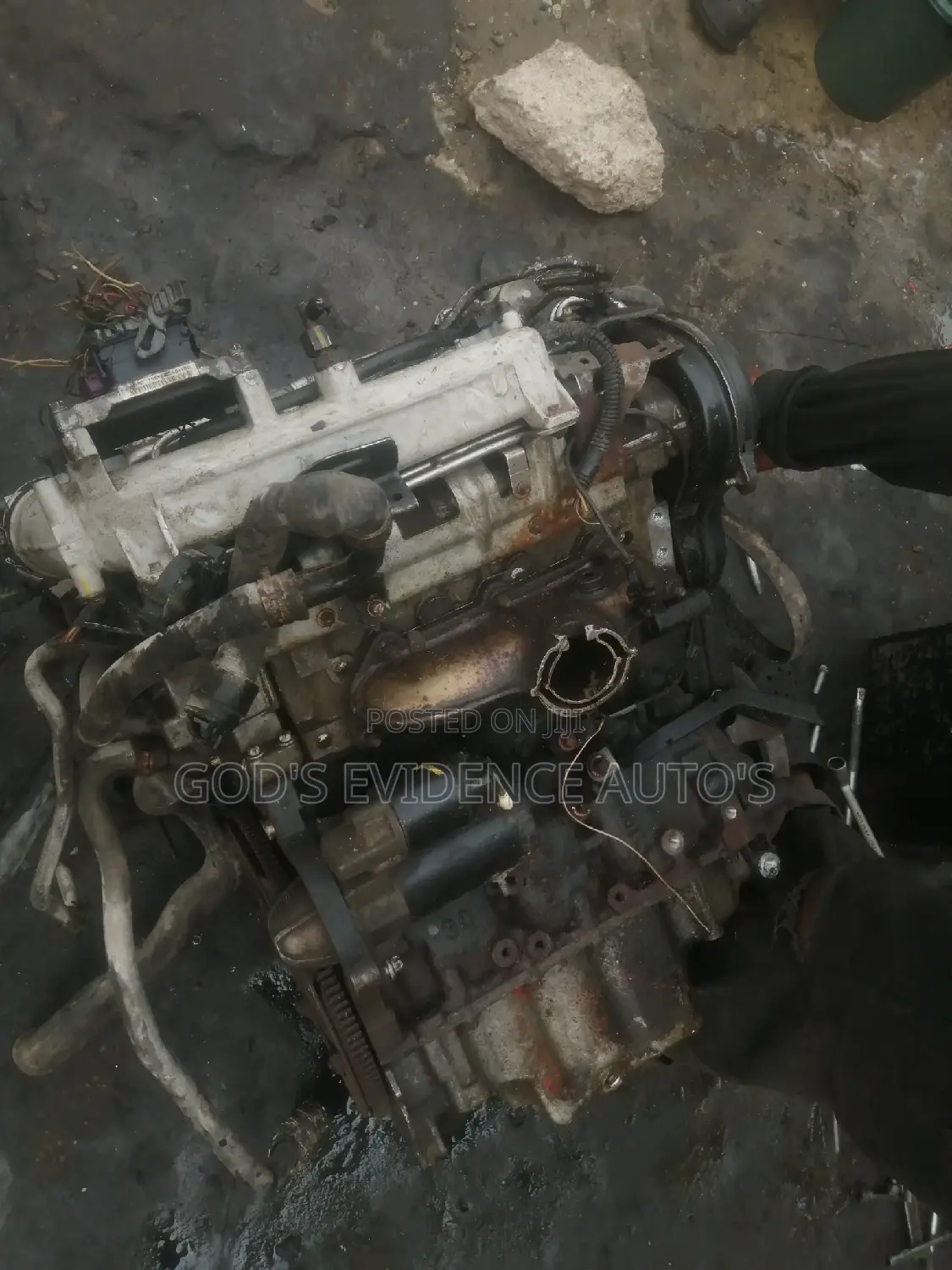 Opel Signum 3.0 Engine