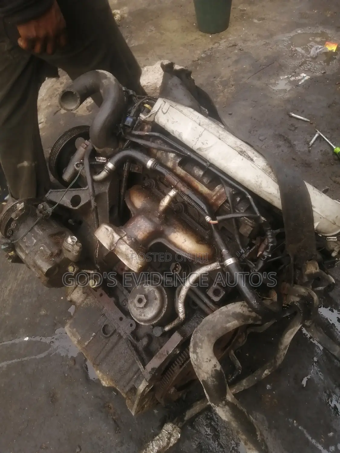 Opel Signum 3.0 Engine