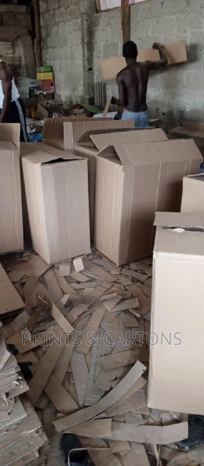 Carton for Your House