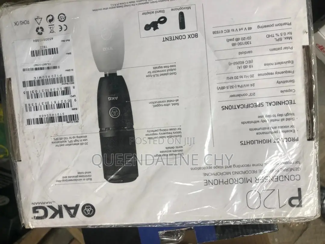 AKC P120 Condenser Microphone