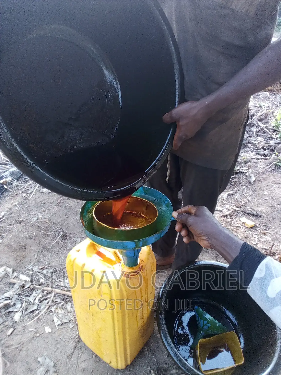 Palm Oil For Sale