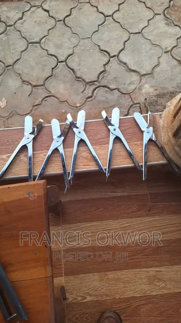 Cashew Cutter Stainless Steel
