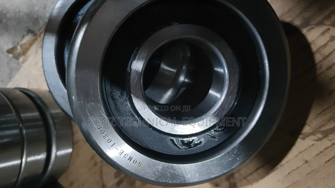 Forklift Mast and Chain Roller Bearings