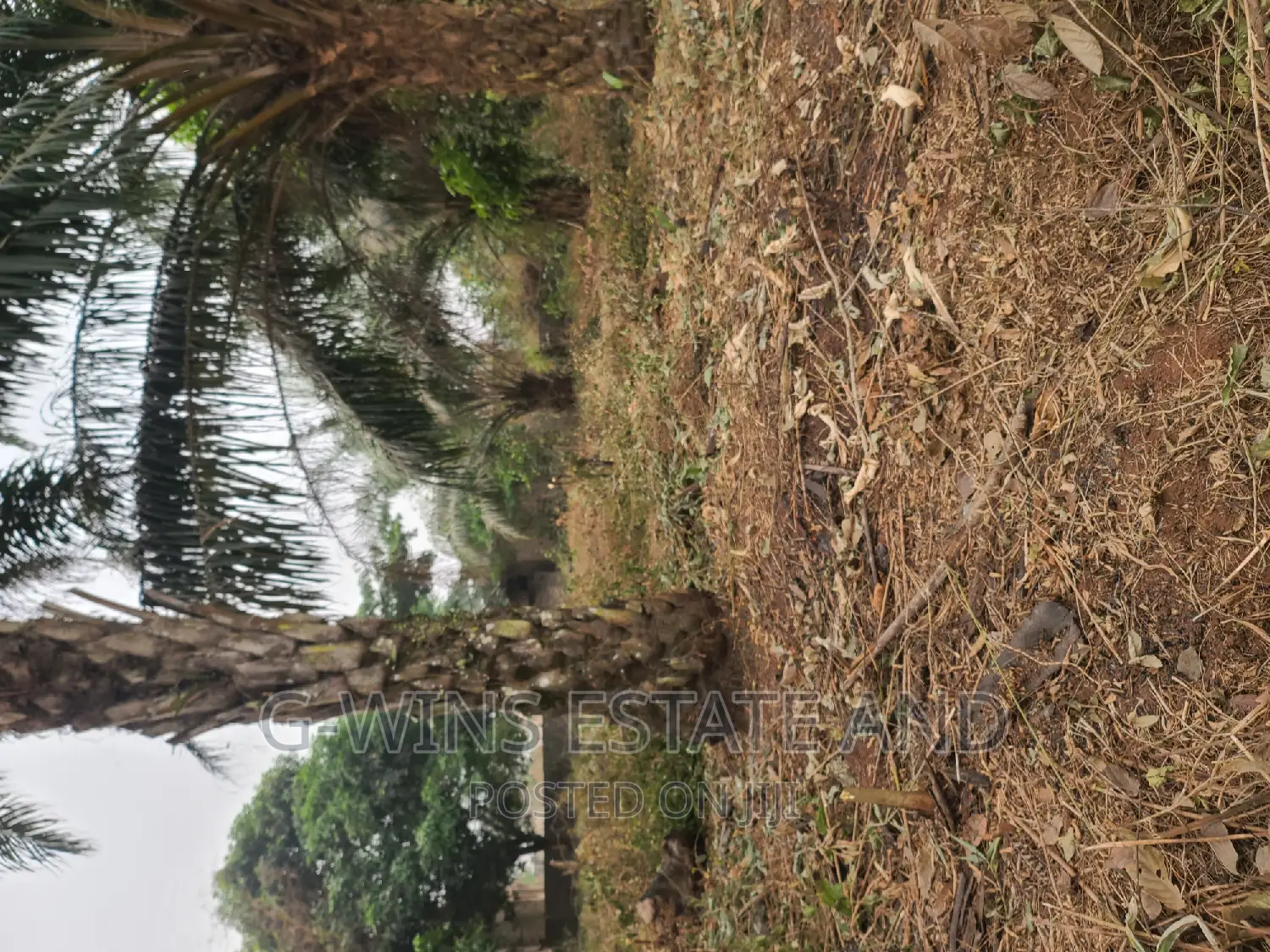 100x100ft at Obazagbon Off Airport Road