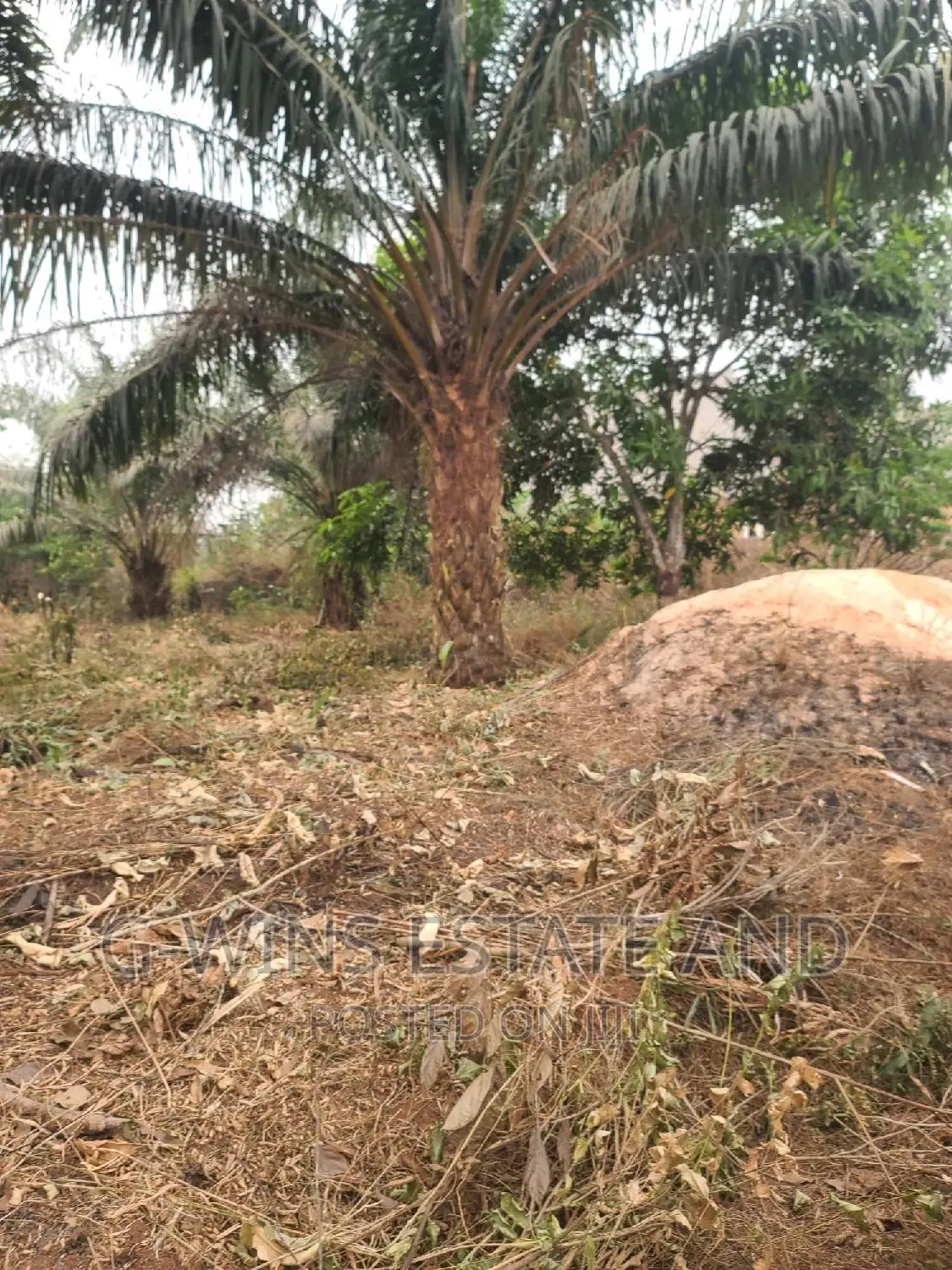 100x100ft at Obazagbon Off Airport Road