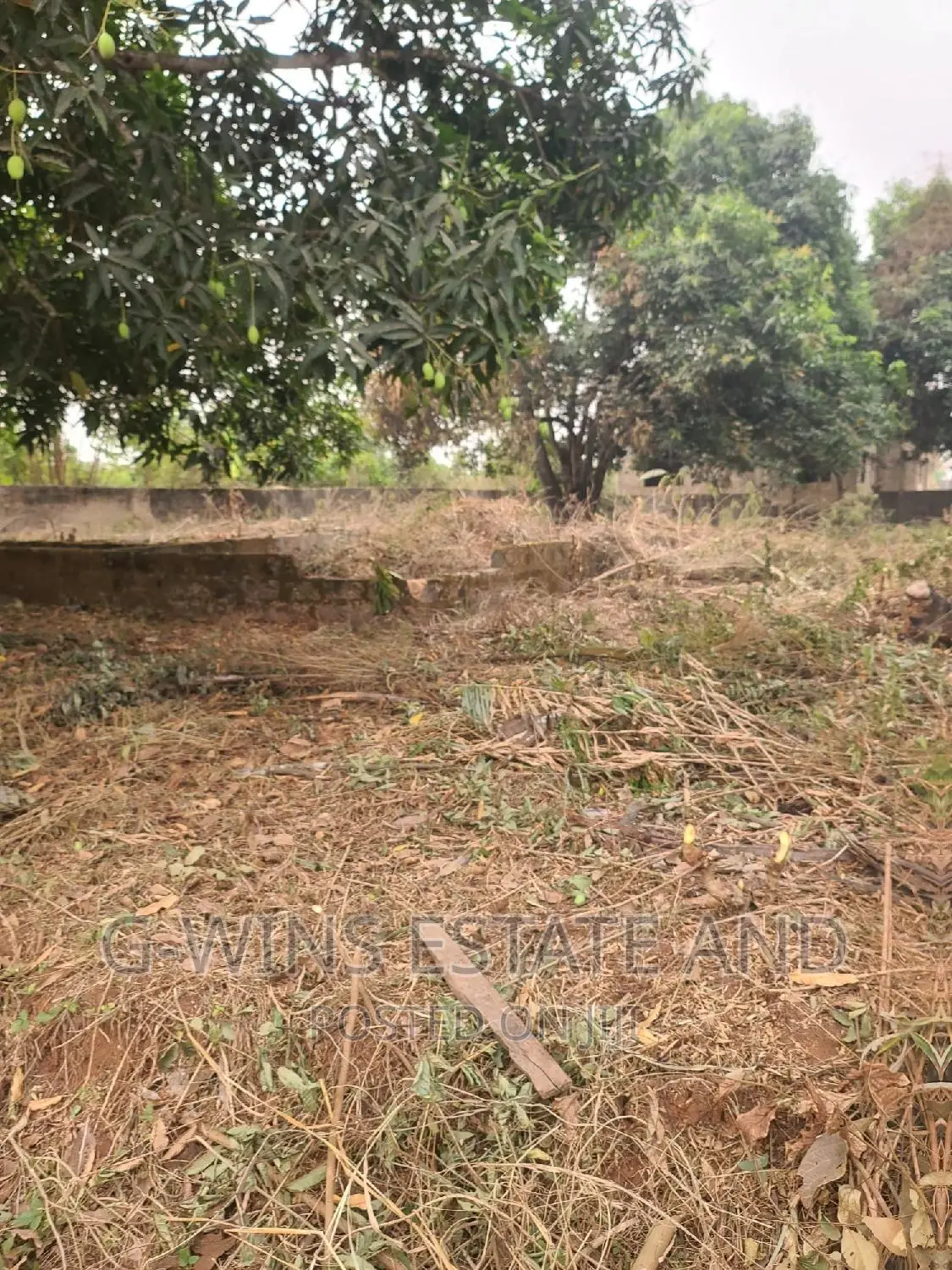100x100ft at Obazagbon Off Airport Road