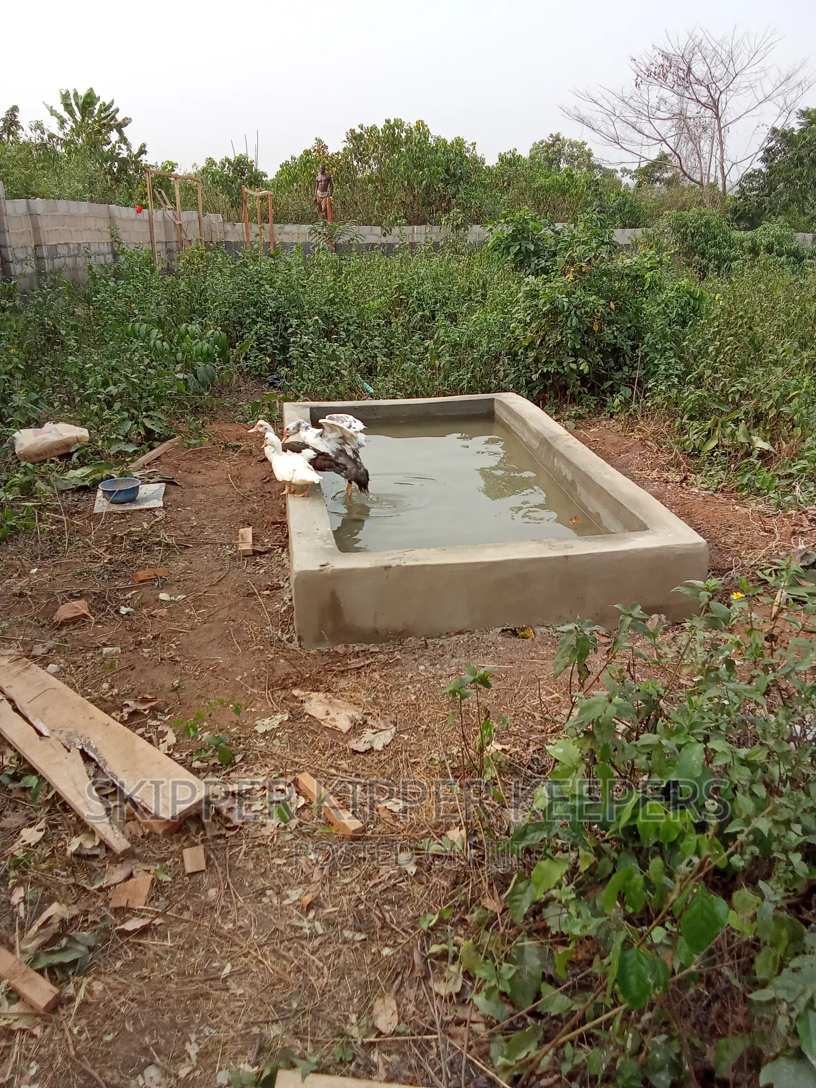 Integrated Livestock Farm Set Up