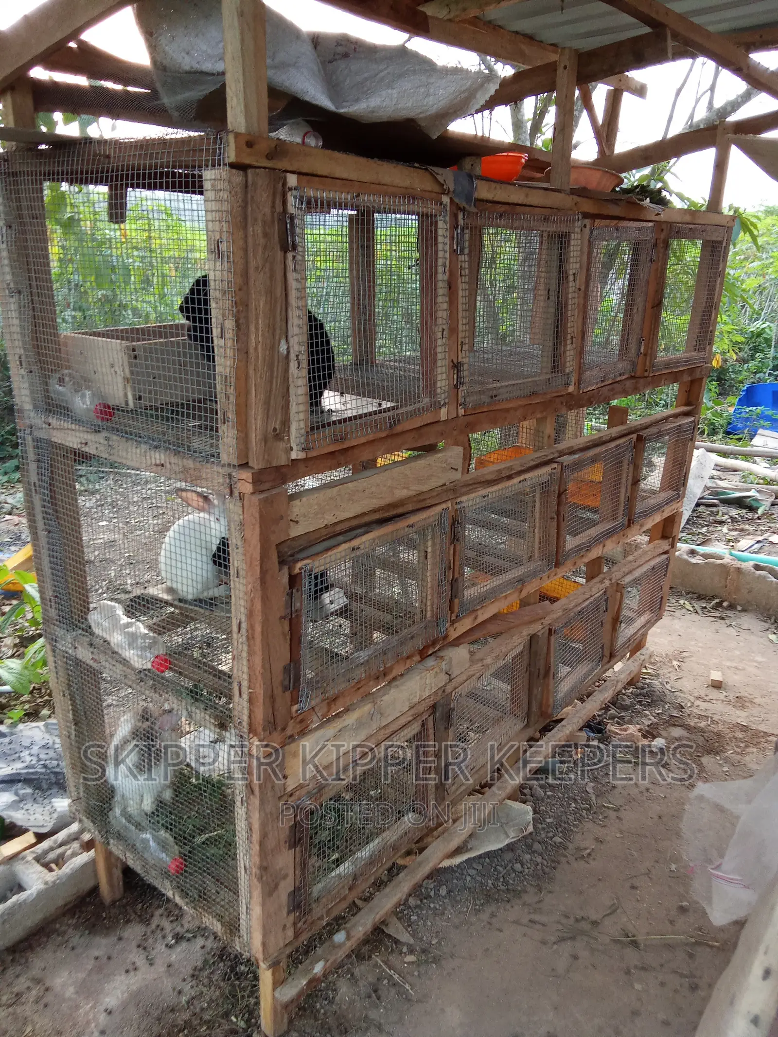 Integrated Livestock Farm Set Up