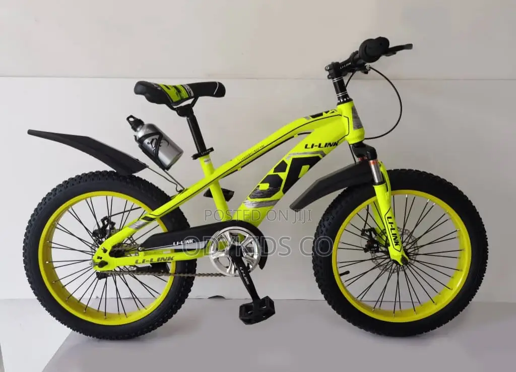 Top Quality Big Tires 20 Inches Bicycle