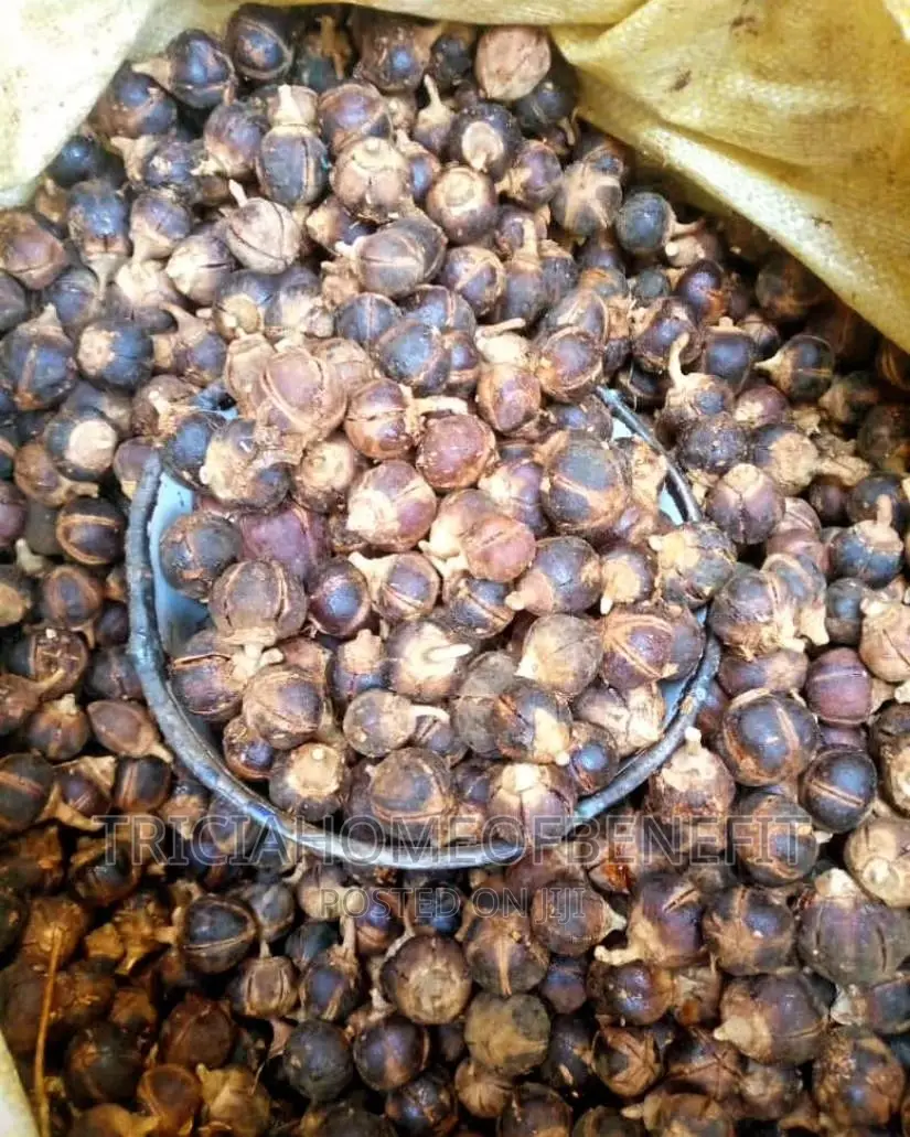 Gorontula Fruits