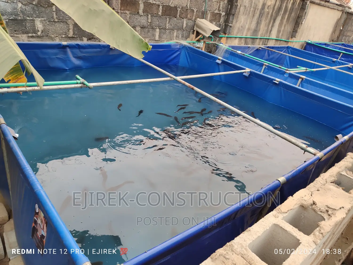 Fish Pond (Tarpaulin)