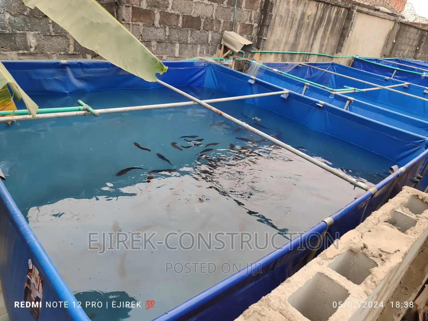 Fish Pond (Tarpaulin)