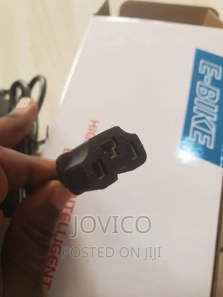 Electric Bike Charger (48v 12/20ah)