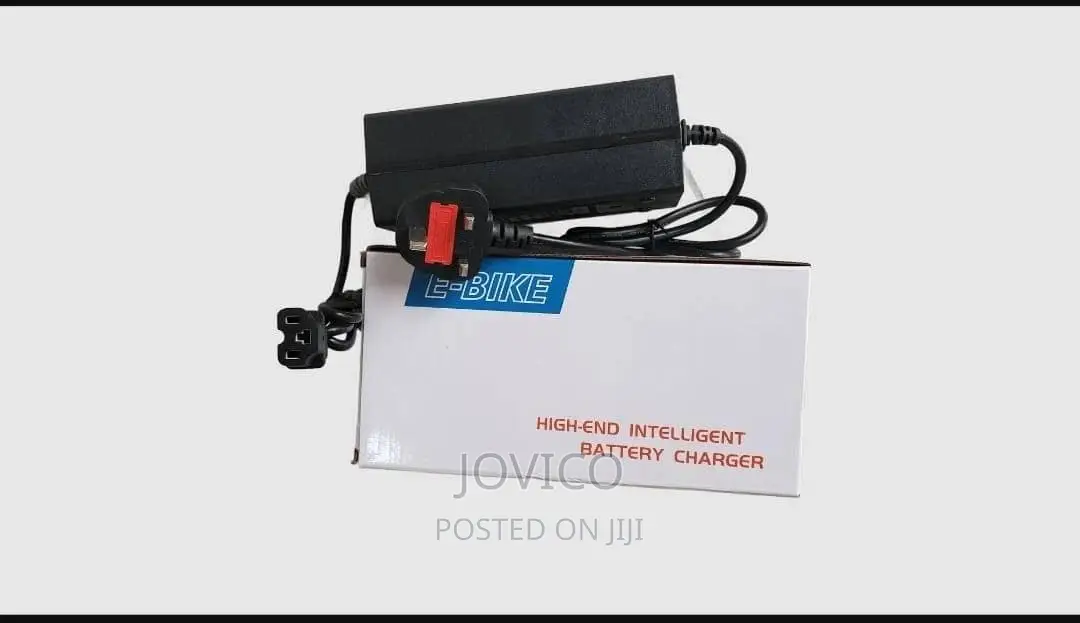 Electric Bike Charger (48v 12/20ah)